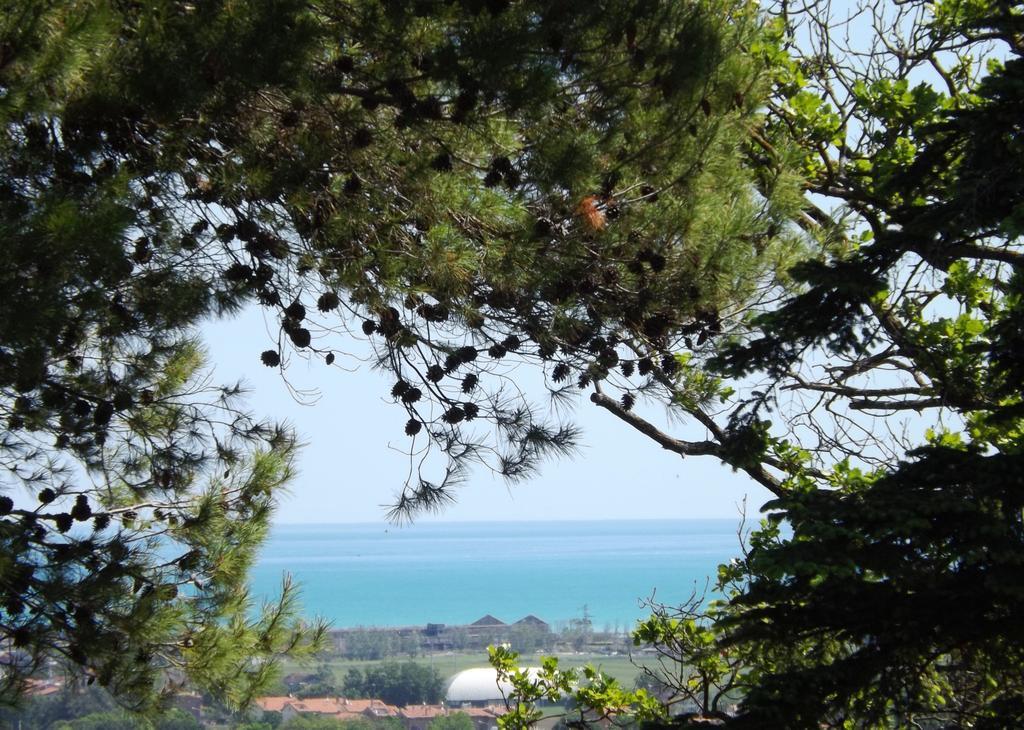 Tenuta Villa Colle Sereno Montemarciano Luaran gambar